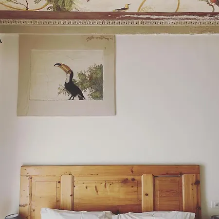 Hotel Art 4*